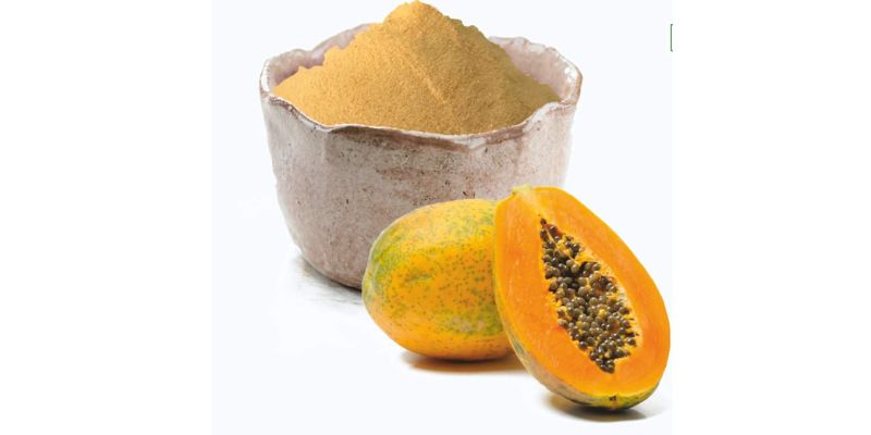 Brief History of Papaya Fruit Powder