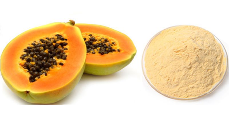 Health Benefits of Papaya Fruit Powder