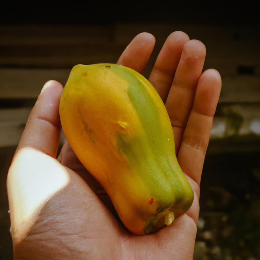 Papayas come in different sizes and are known for their sweet taste and nutritional value.