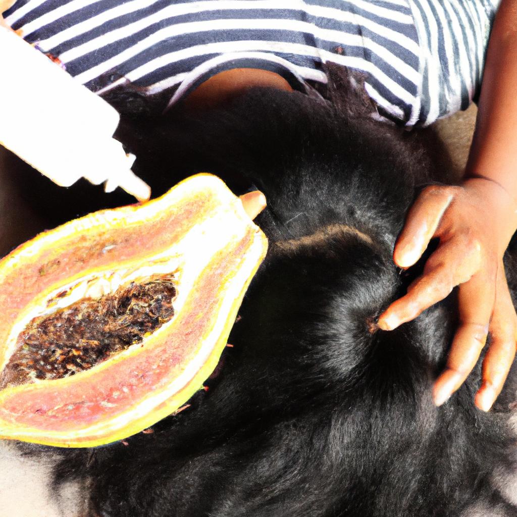 Papaya seed oil can help protect hair from damage caused by environmental factors like pollution and UV rays.