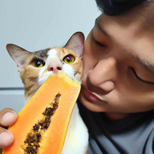 How to safely feed papaya to your feline friend