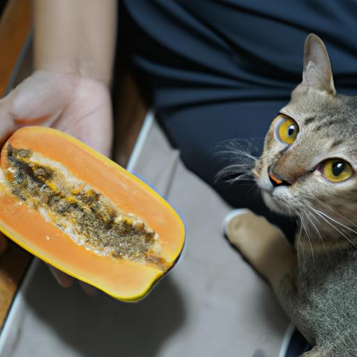 A cat owner introduces their feline friend to the tropical fruit, papaya