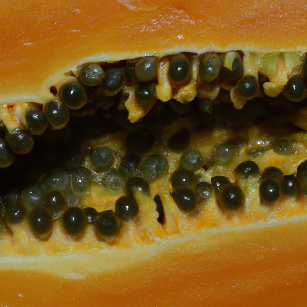 The physical indicators of a ripe papaya.