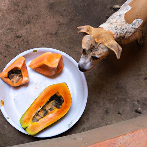 Papaya is a nutritious fruit for dogs, but it's important to feed it in moderation and prepare it properly.