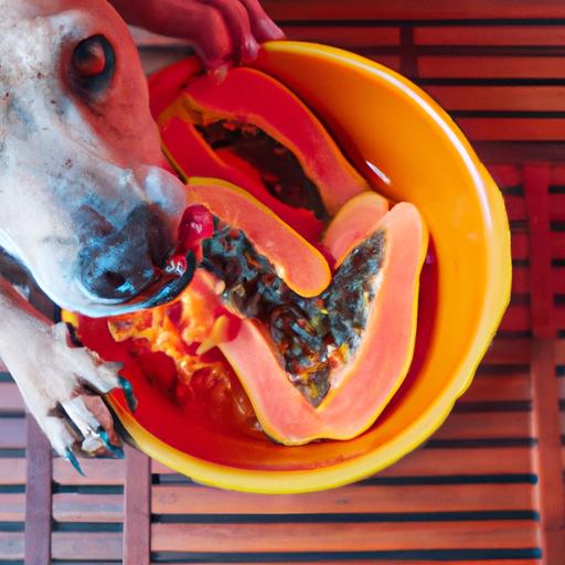 A happy dog enjoying a bowl of papaya, showcasing the potential benefits for their health.