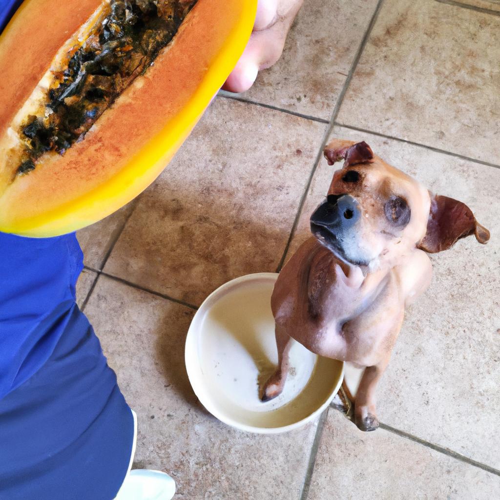 It's important to introduce papaya to your dog's diet in small amounts and monitor for any allergic reactions.