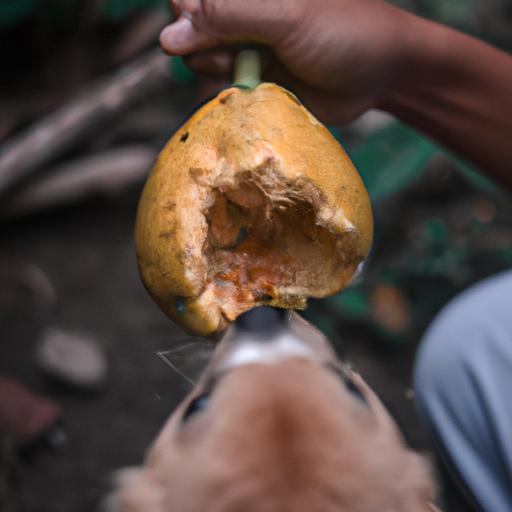 A responsible dog owner introduces papaya to their pet's diet, taking into account the potential risks and precautions.