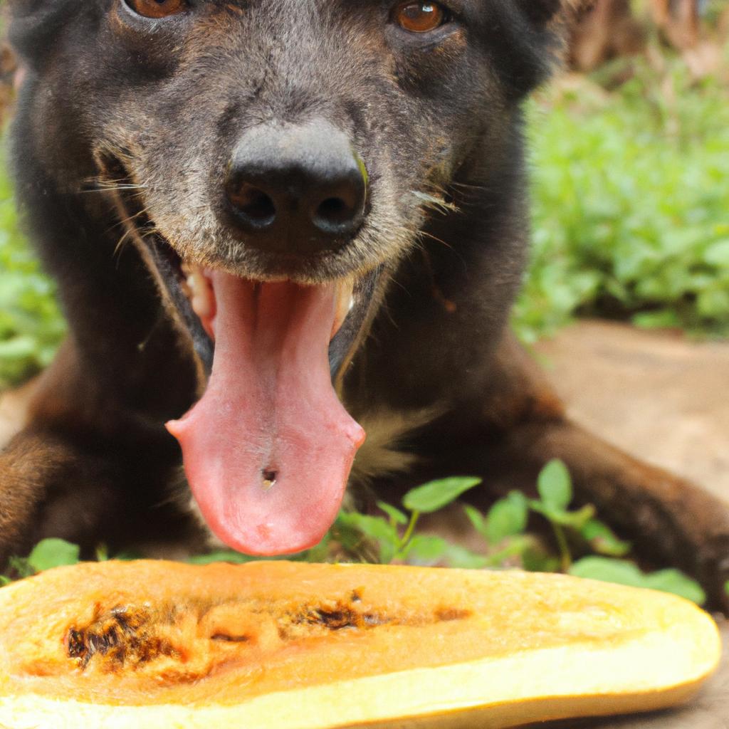 Can Dogs Eat Papayas? Here's What You Need to Know