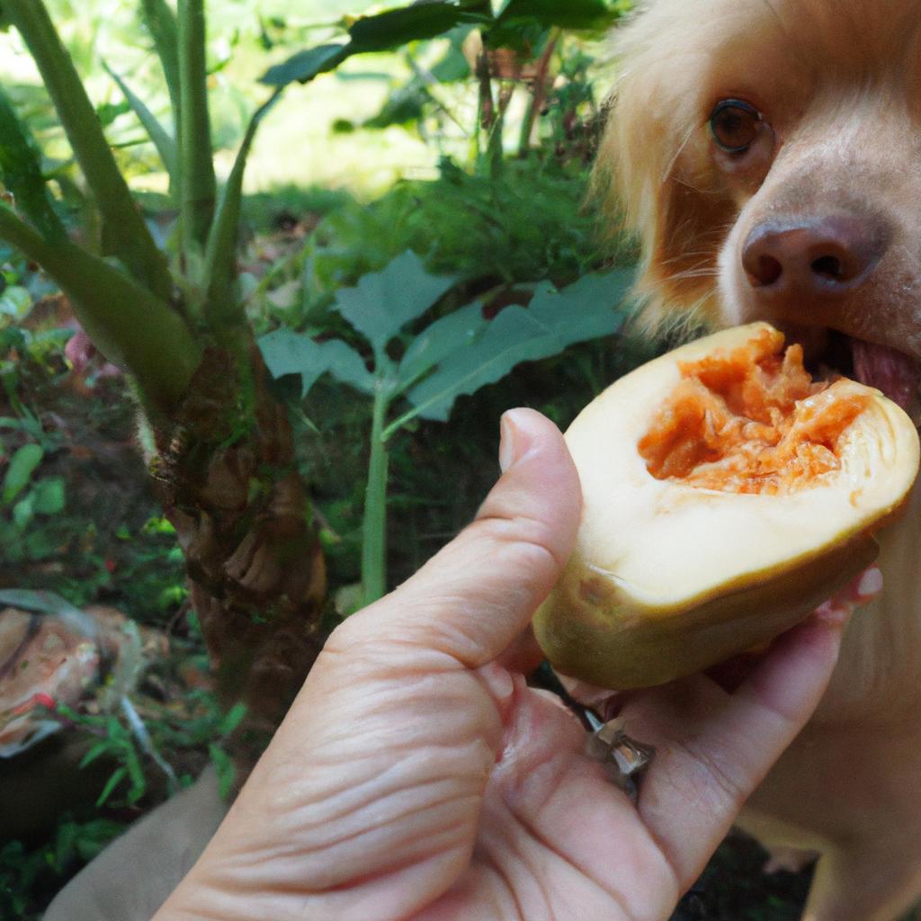 How to Feed Your Dog Papayas Safely and Responsibly