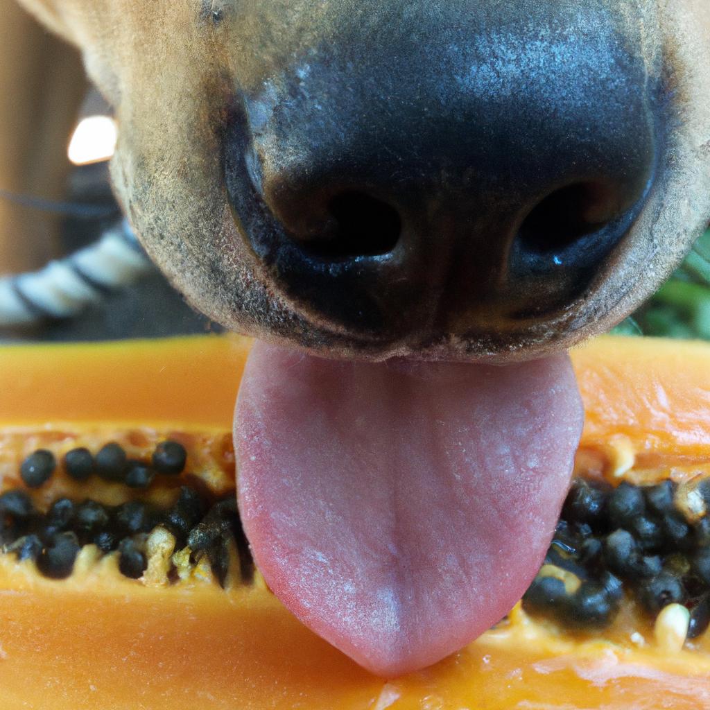 Feeding Your Dog Papaya: The Pros and Cons