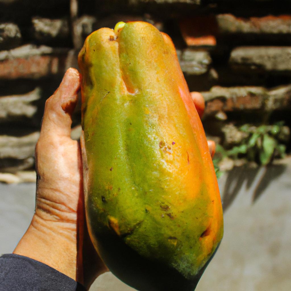 To check if a papaya is ripe, gently press the skin with your thumb - if it yields to pressure, it's ready to eat.