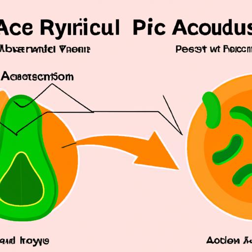 Illustration depicting the link between papaya enzymes and acid reflux