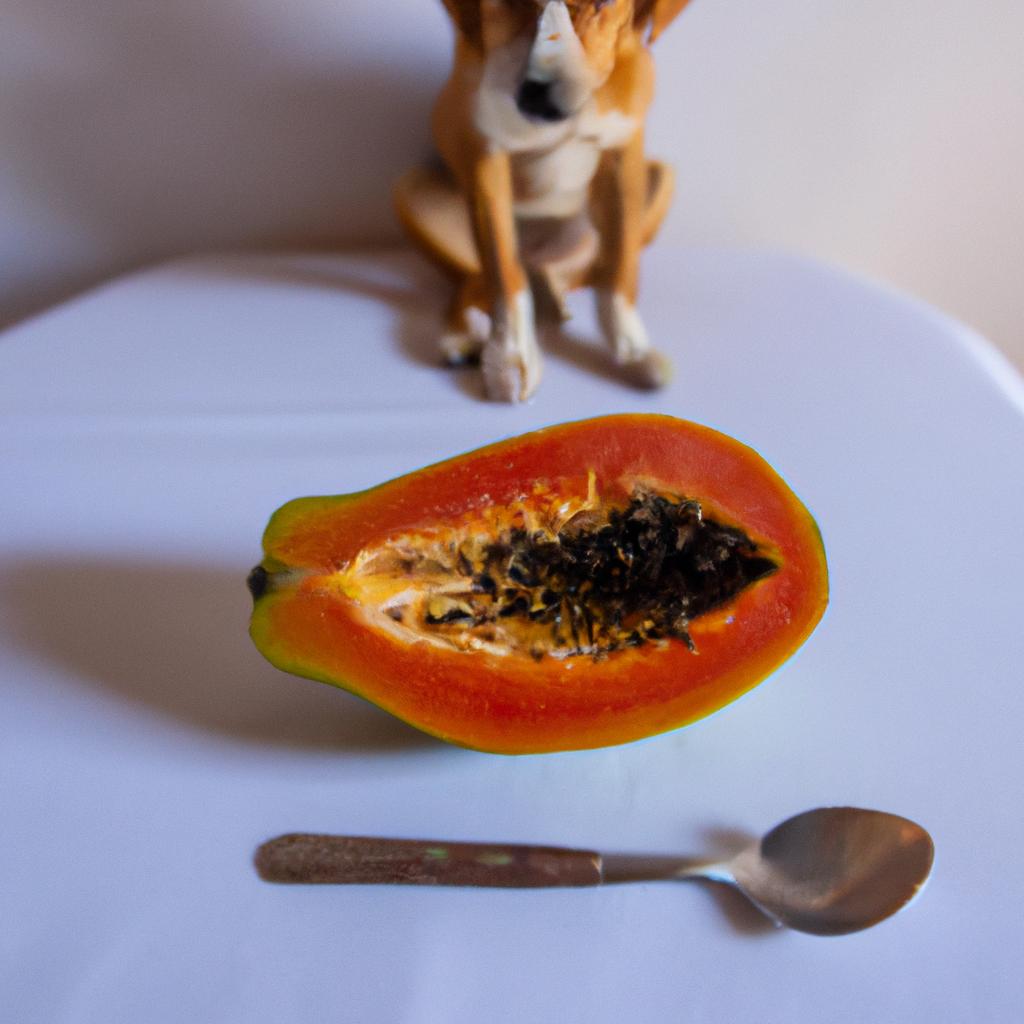 Papaya is low in calories and fat, making it a healthy snack option for dogs.