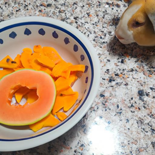 A bowl filled with hamster food and fresh papaya slices on the side, ready for your furry friend to enjoy.