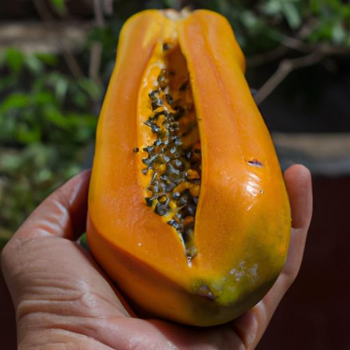 A perfectly ripe papaya ready for consumption