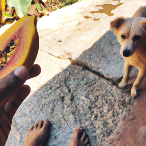 Before feeding your dog papaya, be sure to consult with your veterinarian to ensure it's safe and appropriate for your pet.
