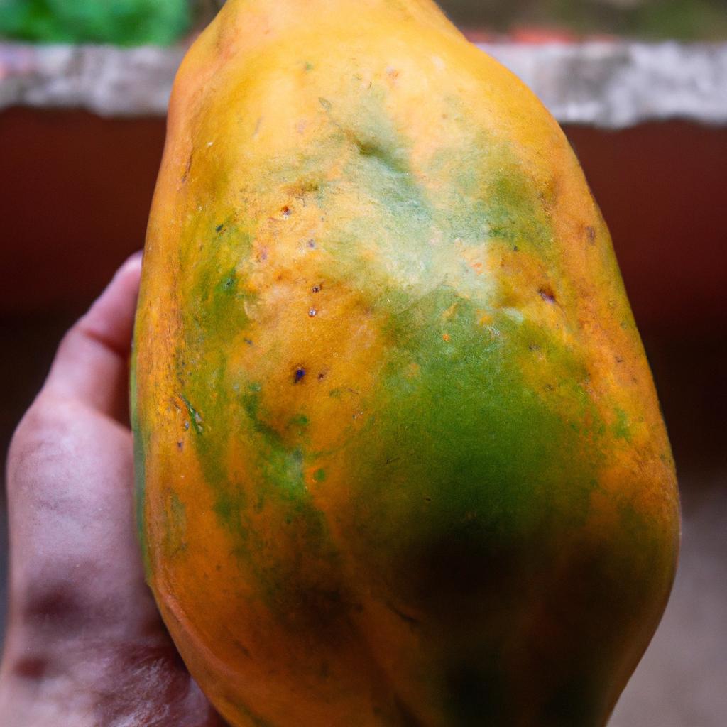 The perfect size and weight of a ripe papaya