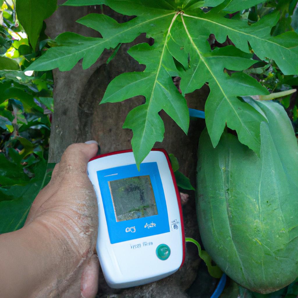 Monitoring blood pressure near a papaya tree - uncovering the truth