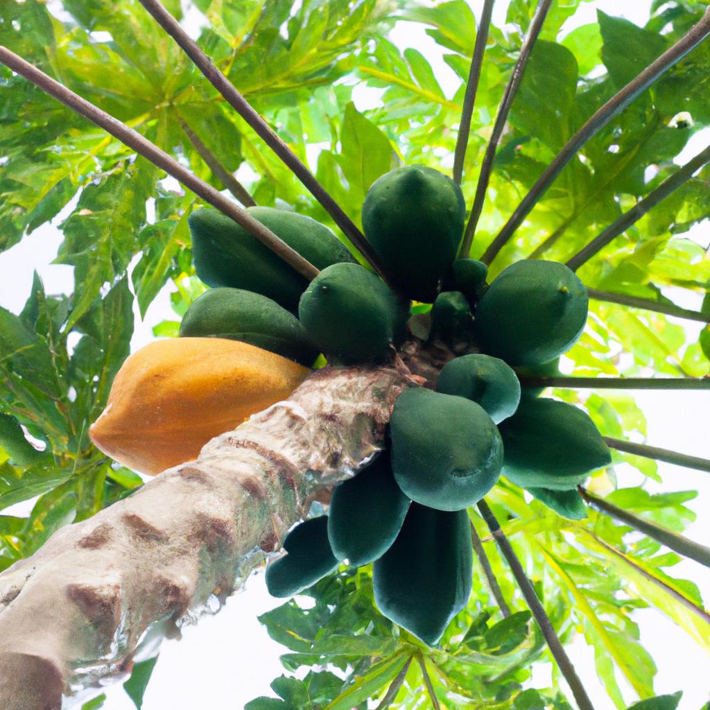 Explore the benefits of incorporating papaya into your diet for menstrual regulation.