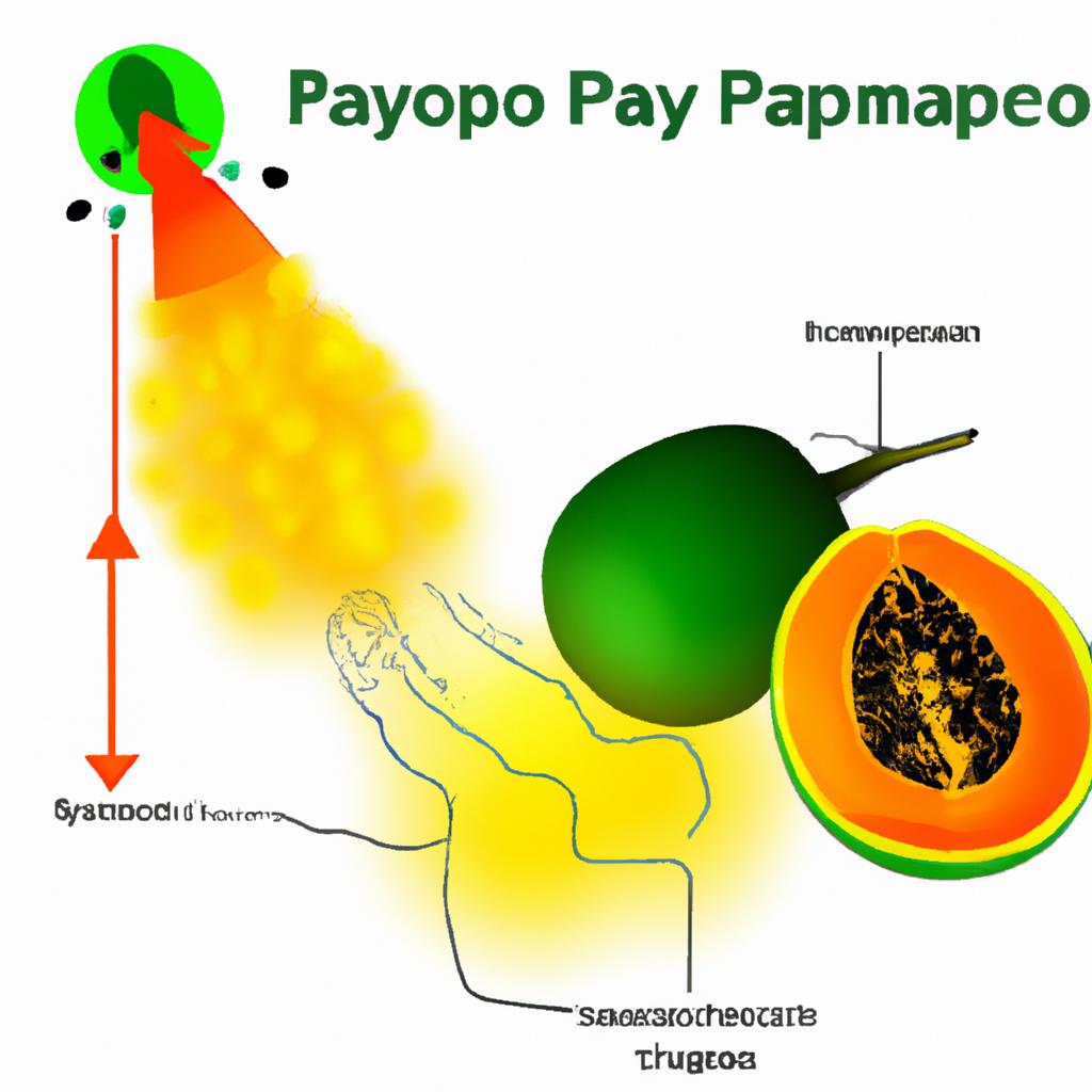 Examination of the ethylene gas role in the ripening process of papayas.