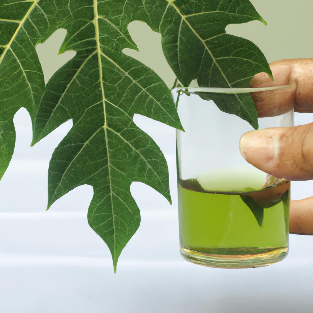 Unlock the potential benefits of papaya leaf extract for boosting platelet count.