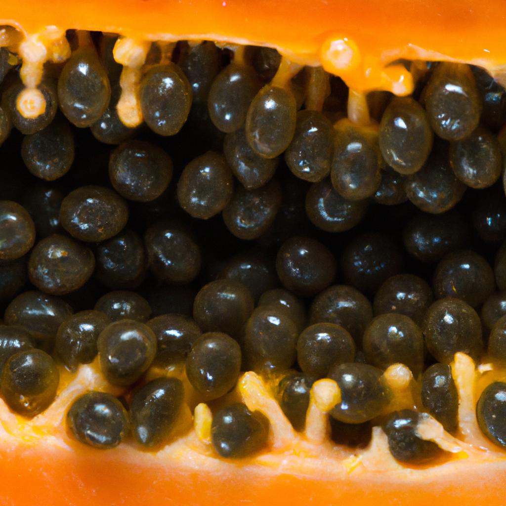 Discover the powerhouse of nutrients packed within papaya seeds.