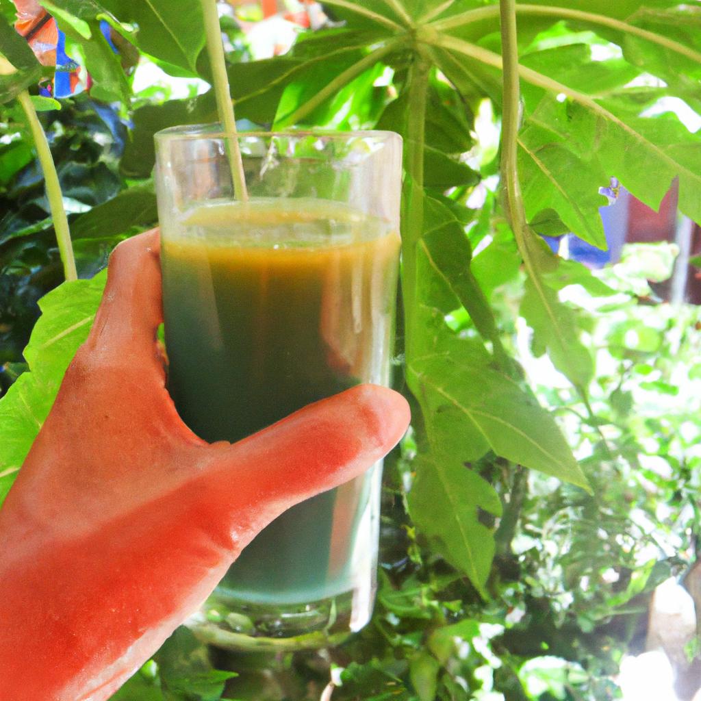Papaya leaf juice has been traditionally used to boost platelet count, but what does science say?