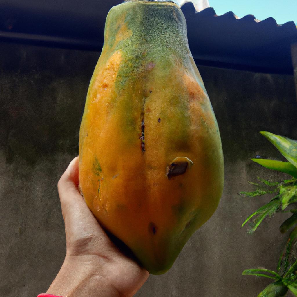 Enjoying the goodness of papaya, a natural source of essential nutrients.