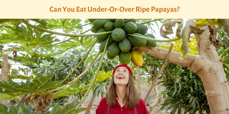 Can You Eat Under-Or-Over Ripe Papayas?