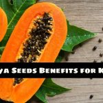 Unlocking the Power: Papaya Seeds Benefits for Kidney Health